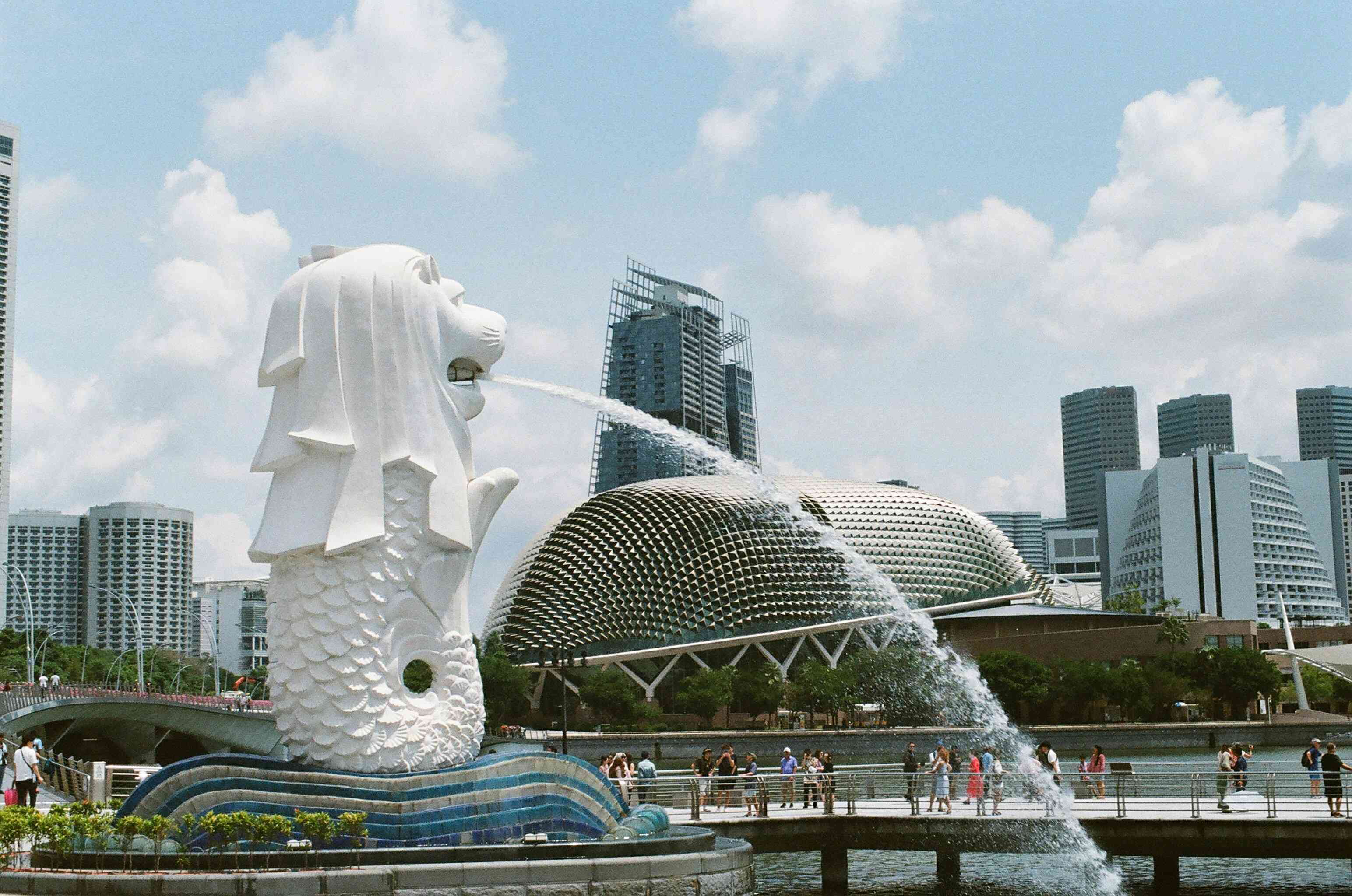 新加坡全球商业者投资计划资讯